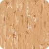 2555cinnamon